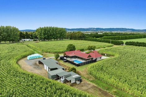 Photo of property in 164 Otakiri Road, Edgecumbe, Whakatane, 3192