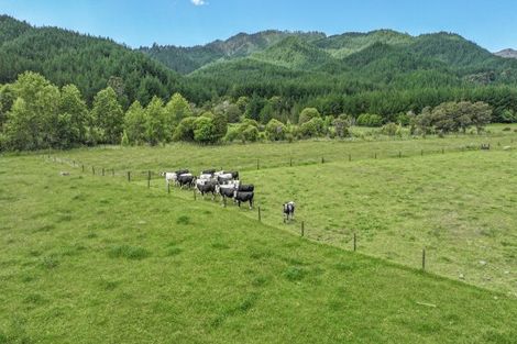 Photo of property in 150 Puriri Valley Road, Puriri, Thames, 3578