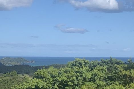 Photo of property in 133 Pukenui Road, Ngunguru, Whangarei, 0173