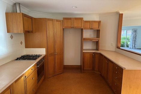 Photo of property in 11 Stella Place, Chartwell, Hamilton, 3210