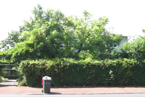 Photo of property in 48 Omahu Road, Greenlane, Auckland, 1051