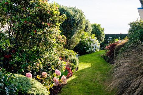 Photo of property in 25 Highgrove, Saint Clair, Dunedin, 9012