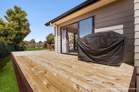 Photo of property in 2c Brooklyn Road, Claudelands, Hamilton, 3214