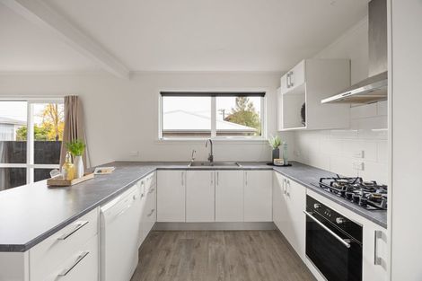 Photo of property in 18a Patrick Place, Fitzroy, Hamilton, 3206