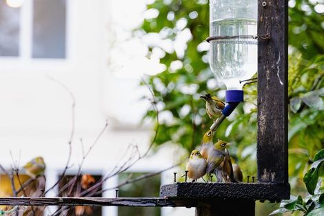 Photo of property in 6 Rosehill Road, Macandrew Bay, Dunedin, 9077