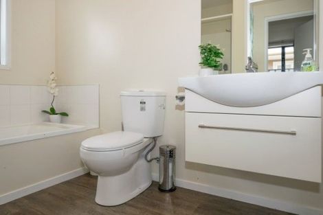 Photo of property in 17 Elzy Street, Blenheim, 7201