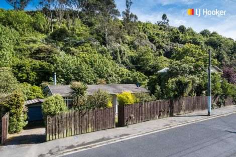 Photo of property in 91 Somerville Street, Andersons Bay, Dunedin, 9013