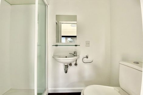 Photo of property in 18 Ngaoho Place, Parnell, Auckland, 1010