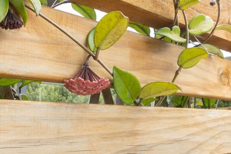 Photo of property in 12 Quail Way, Waitarere, Levin, 5510