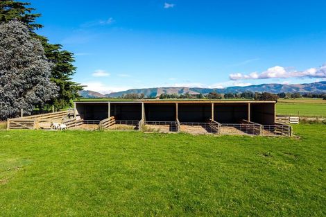 Photo of property in 302 Timaru Road, Waimate, 7978