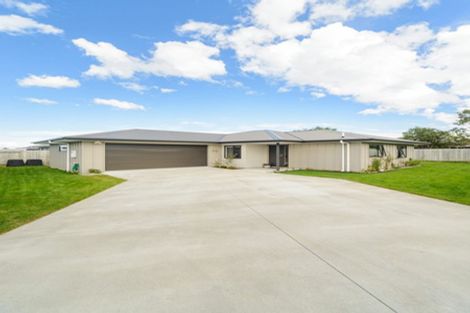 Photo of property in 26 Wescombe Grove, Feilding, 4702