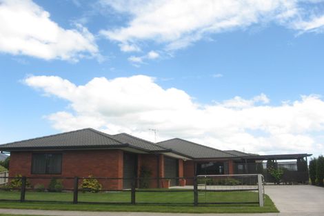 Photo of property in 20 De La Mare Drive, Leamington, Cambridge, 3432