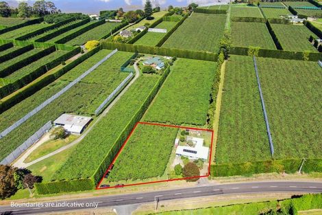 Photo of property in 186 Beach Road, Katikati, 3178