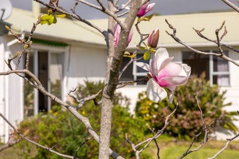 Photo of property in 18 Utauta Street, Waikanae, 5036
