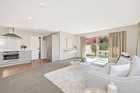 Photo of property in 54 Thackeray Place, Waltham, Christchurch, 8023