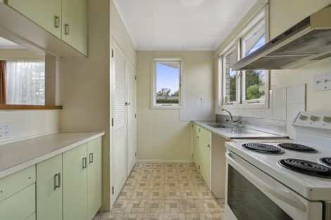 Photo of property in 221 West Parkdale Street, Tokoroa, 3420