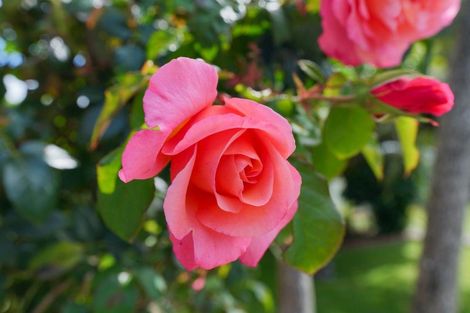 Photo of property in 2 Frome Street, Clifton, Invercargill, 9812