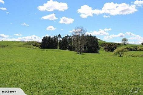 Photo of property in 98 Paparamu Road, Piarere, Tirau, 3484