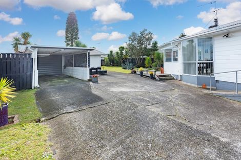 Photo of property in 19 Paterson Avenue, Pukekohe, 2120