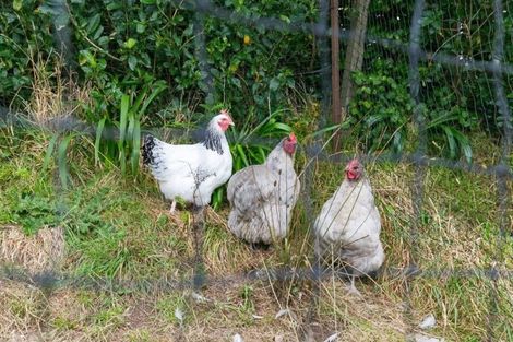 Photo of property in 74a Burgess Road, Johnsonville, Wellington, 6037