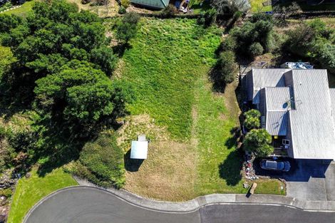 Photo of property in 19 Ohinemuri Place, Paeroa, 3600