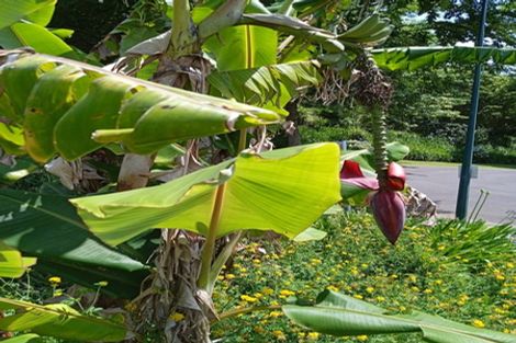 Photo of property in 42 Westview Place, Tauriko, Tauranga, 3110