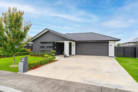 Photo of property in 15 Maple Grove, Solway, Masterton, 5810