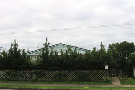 Photo of property in 15 Forth Street, Levin, 5510