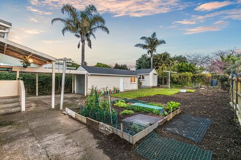 Photo of property in 47 Calgary Street, Mount Eden, Auckland, 1041