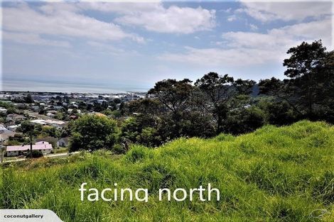 Photo of property in 210 Hauraki Terrace, Thames, 3500