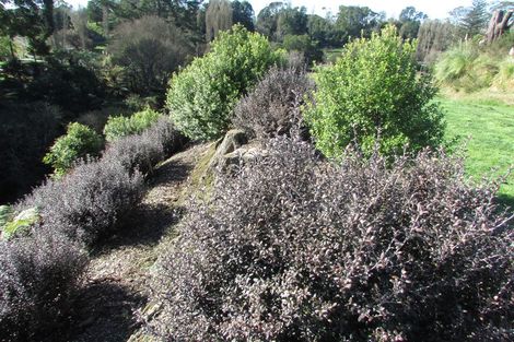 Photo of property in 17 Hart Road, Tamahere, Hamilton, 3283