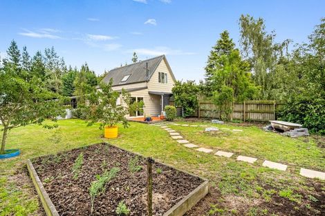 Photo of property in 51 Victoria Street, Oxford, 7430