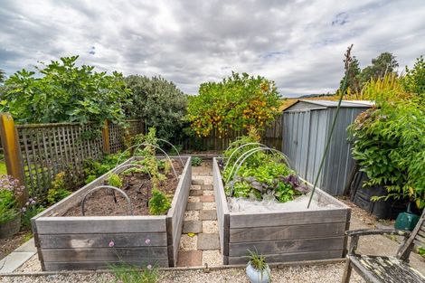 Photo of property in 7 Wilkinson Place, Richmond, 7020