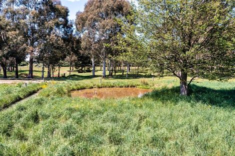 Photo of property in 251 Worlingham Road, Eyrewell, West Eyreton, 7476