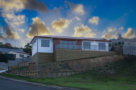 Photo of property in 19 Hartis Avenue, Huntly, 3700