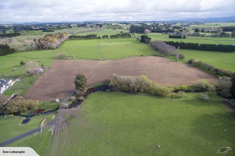 Photo of property in 90 Te Whiti Road, Homebush, Masterton, 5810