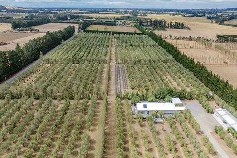 Photo of property in 179 Racecourse Road, Amberley, 7482