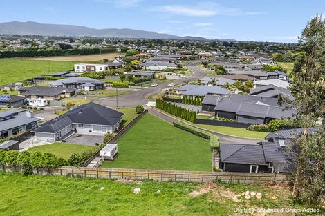 Photo of property in 45 Okarito Avenue, Levin, 5510