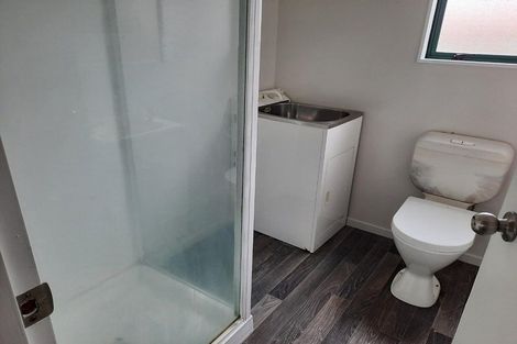 Photo of property in 115 Finlayson Avenue, Clendon Park, Auckland, 2103