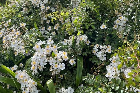 Photo of property in 17 Lewer Road, Whangaroa, Kaeo, 0478