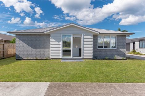 Photo of property in 199 Te Maunga Lane, Mount Maunganui, 3116