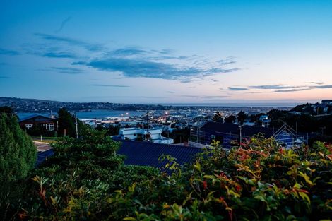Photo of property in 47 Russell Street, Dunedin Central, Dunedin, 9016