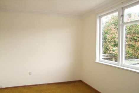 Photo of property in 17 Cross Street, Milton, 9220