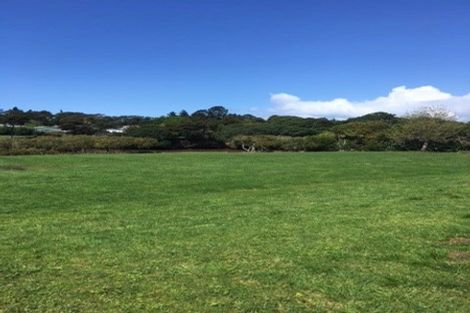 Photo of property in 19 Waikohua Place, Ruakaka, 0116