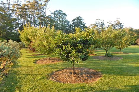 Photo of property in 71 Riverstream Drive, Waipapa, Kerikeri, 0295