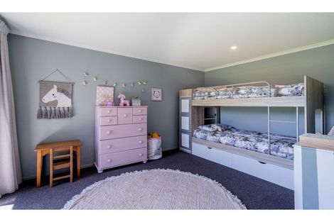 Photo of property in 26 Plunket Street, Omakau, 9376