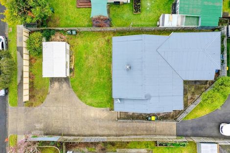 Photo of property in 61 Domain Road, Whakatane, 3120