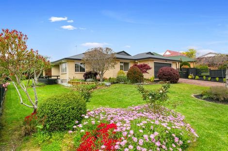 Photo of property in 14 Deanna Avenue, Morrinsville, 3300