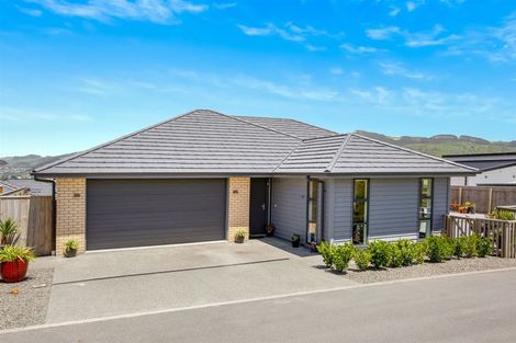 Photo of property in 169 John Burke Drive, Aotea, Porirua, 5024