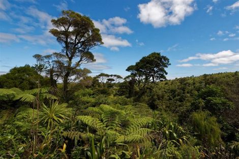 Photo of property in 256 Piha Road, Piha, New Lynn, 0772